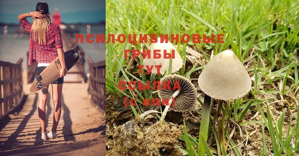 кокаин колумбия Абаза