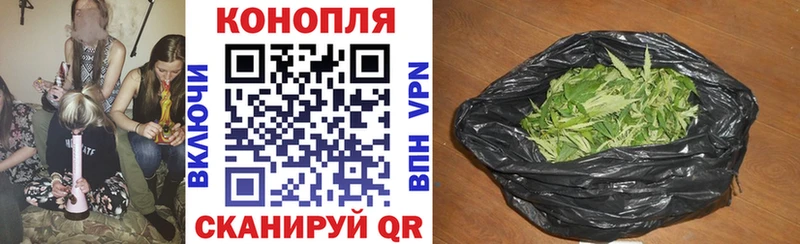 Шишки марихуана сатива  Холмск 